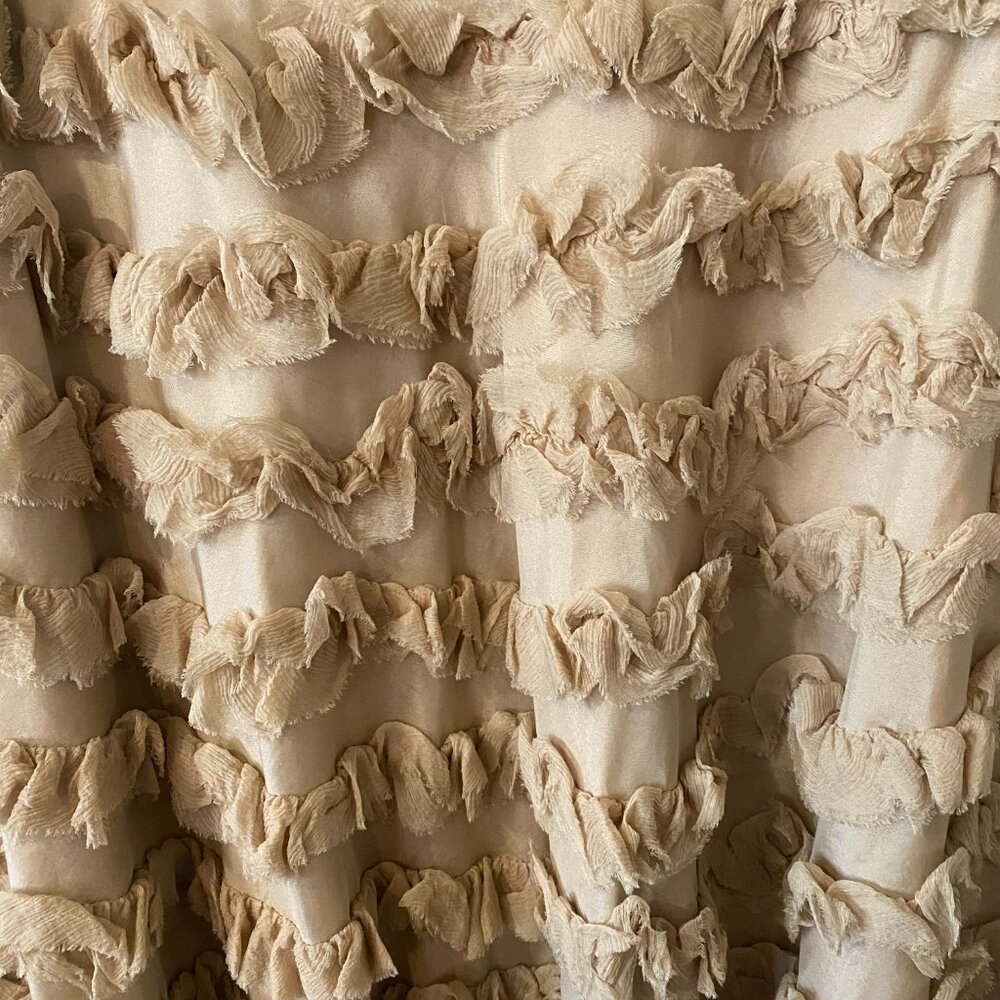Wyeth By Todd Magill Seasonal Collection Nude/Blush Silk Ruffle Skirt 6/8 Small View 3